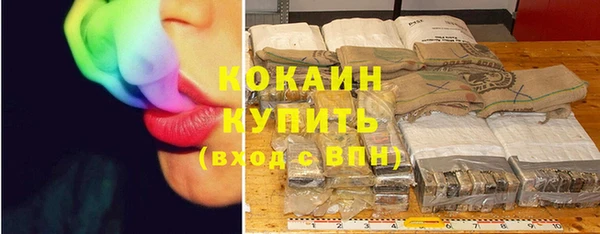 гидра Волоколамск