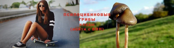 гидра Волоколамск