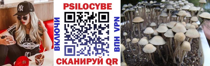 Галлюциногенные грибы мухоморы  Томск 